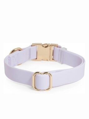 SUNNY TAILS- Lavender Silicone Dog Collar with Gold Hardware